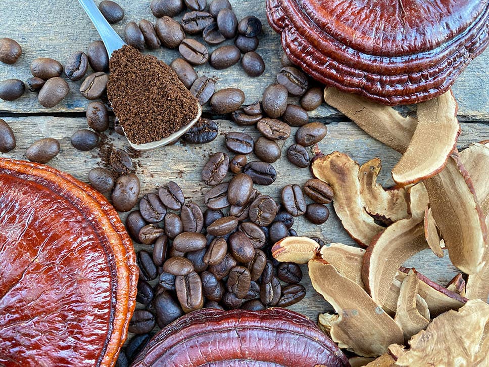 قهوه های گانودرما